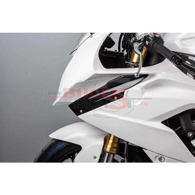 Bikesplast BMW S1000RR 2015 - 2016