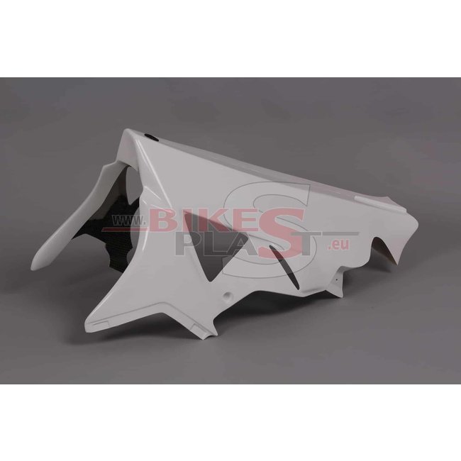 Bikesplast BMW S1000RR 2009 - 2011