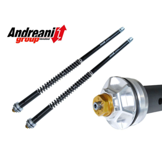 Andreani S1000RR 2019 - 2020 Andreani Evolution Cartridge