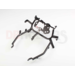 DB Holders Kuipsteun Kawasaki ZX300R 2013-2017 OEM Replica