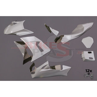 Bikesplast Kawasaki ZX-10R 2008 - 2010