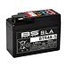 BS Battery Accu BTR4A-5 SLA onderhoudsvrij af fabriek geactiveerd