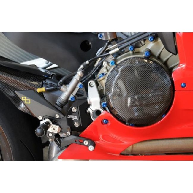 LIGHTECH dynamocarterdeksel glanzend carbon Ducati Panigale CARD1040