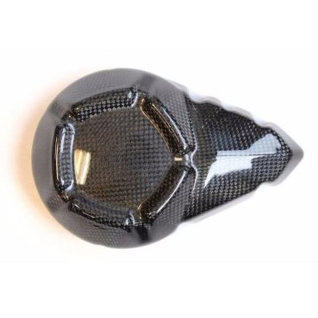 LIGHTECH dynamocarterdeksel glanzend carbon Kawasaki Z800 CARK9740