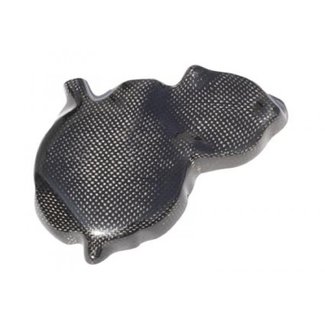 LIGHTECH dynamocarterdeksel glanzend carbon Suzuki Gsx-R600 CARS6040