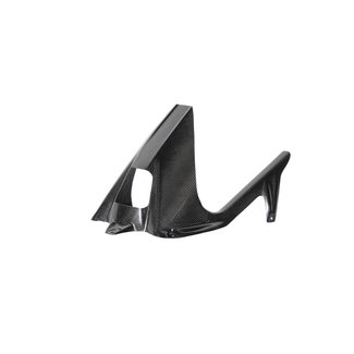 LighTech LIGHTECH achterspatbord glanzend carbon Ducati Panigale CARD1020