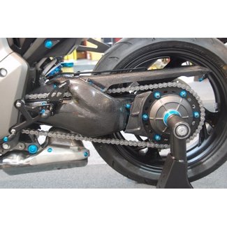 LIGHTECH achterbrugcarter glanzend carbon Honda Cb1000R CARH7060