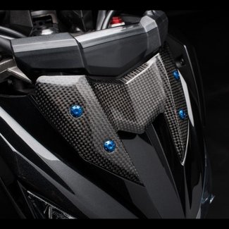 LIGHTECH meterkast glanzend carbon Kawasaki Z800 CARK9770