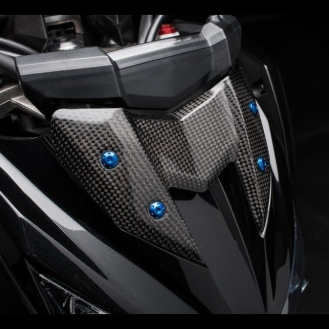 LIGHTECH meterkast glanzend carbon Kawasaki Z800 CARK9770