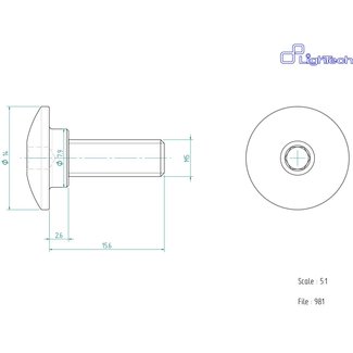 LIGHTECH schroef M5 X 15,6 Type 981 zilver Ergal per eenheid 981SIL