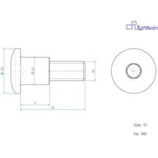 LIGHTECH schroef M6 X 20 Type 1021 zilver Ergal per eenheid 1021SIL