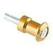 LighTech LIGHTECH schommelarmpennen M6 X 1,00 goud universeel (per paar) CAVM6ORO