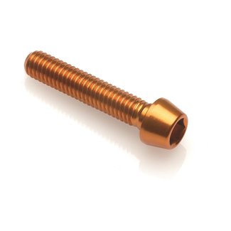 LighTech LIGHTECH BTR schroeven met conische kop M6 x 100 goud Ergal 001M6100ORO