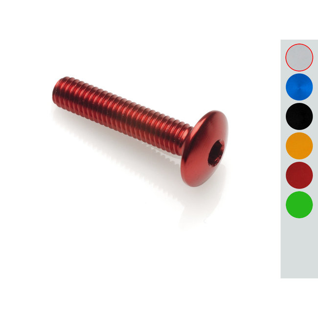 LIGHTECH bolkopschroef M6 x 10 zilver Ergal 002M6010SIL