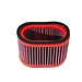 BMC Air Filter Luchtfilter Triumph Speed Triple 02-04FM310/06