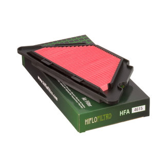 Hiflo Filtro Luchtfilter HFA4615 Yamaha XJ6/Diversion 09-13 Hiflo Filtro Luchtfilter HFA4615 Yamaha XJ6/Diversion 09-13