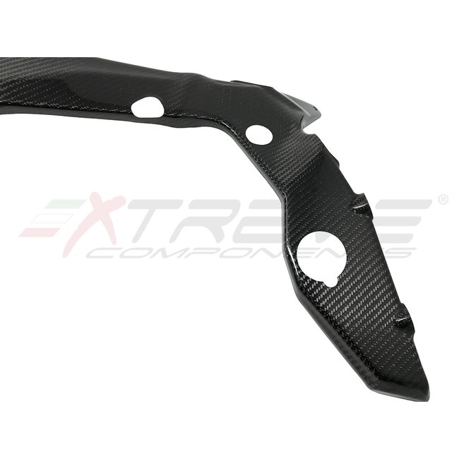 Extreme Components Frame protection for BMW S1000RR / M1000RR (2019/2021)