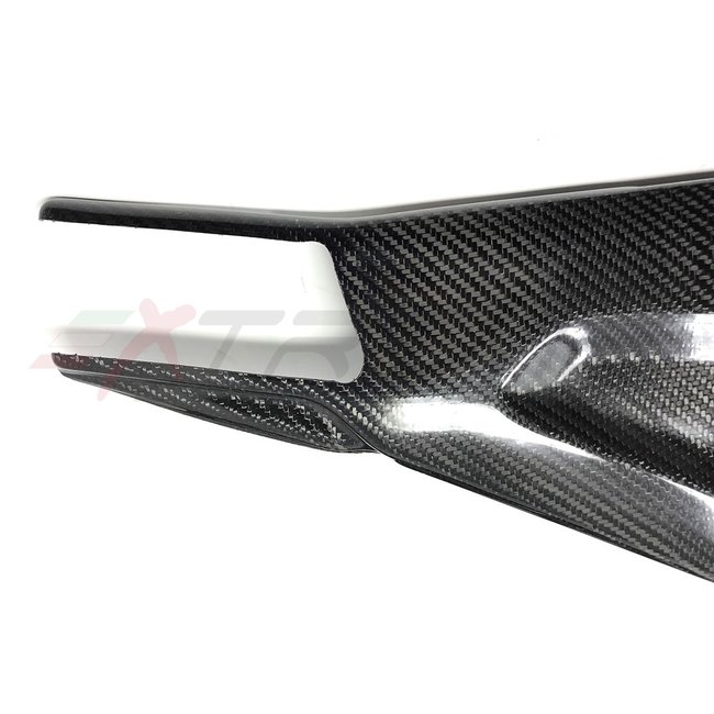 Extreme Components Swingarm protection for BMW S1000RR / M1000RR (2019/2021)