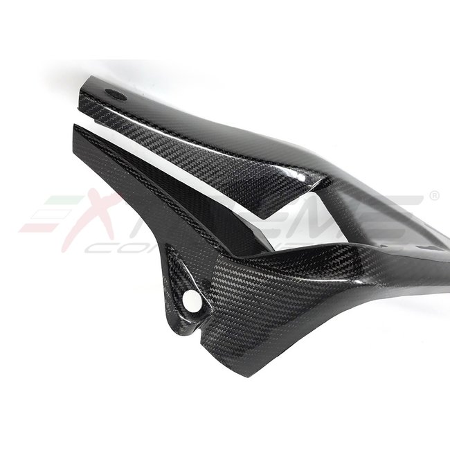 Extreme Components Swingarm protection for BMW S1000RR / M1000RR (2019/2021)