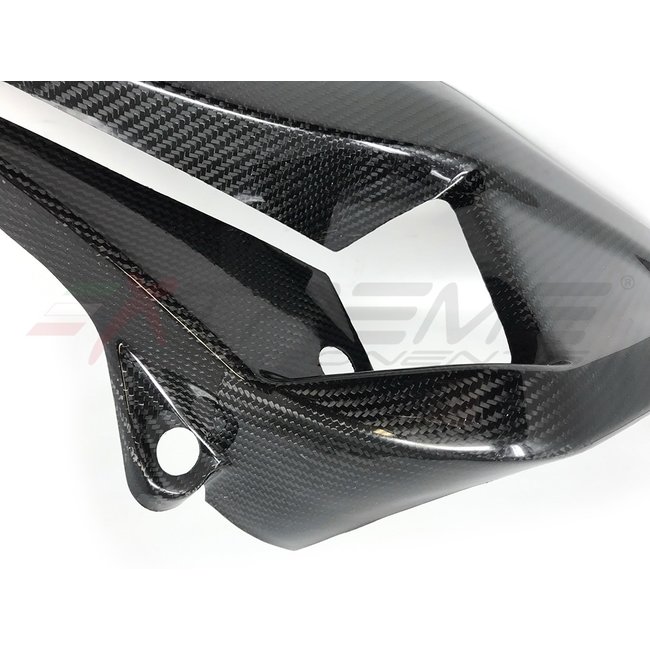 Extreme Components Swingarm protection for BMW S1000RR / M1000RR (2019/2021)