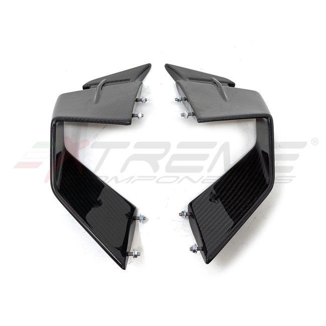 Extreme Components Twill Carbon fiber winglets  for BMW M1000RR (2020/2021) (set)