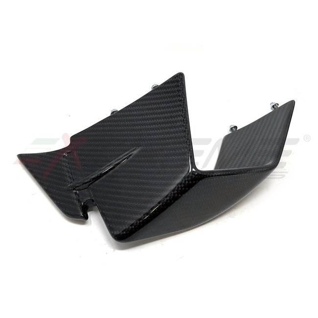 Extreme Components Twill Carbon fiber winglets  for BMW M1000RR (2020/2021) (set)