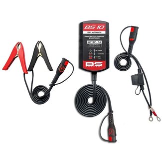 BS Battery Battery charger/ BS10 6v/12v 1000MA Lead Acid and Lithium (Lifepo4)