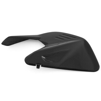 FULLSIX Carbon FULLSIX Carbon Full Six swingarm insert Panigale/Streetfighter V4 2025+