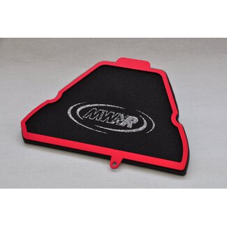 Triumph Triumph Airfilter Triumph SPEED TRIPLE 2005-2010