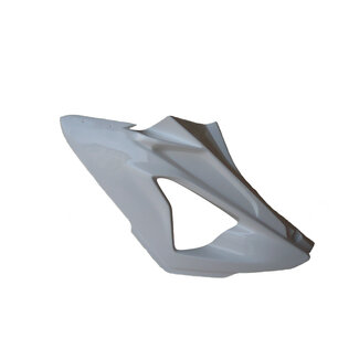 Sebimoto Sebimoto unteres Verkleidungsseitenteil links BMW S 1000 RR 12-14