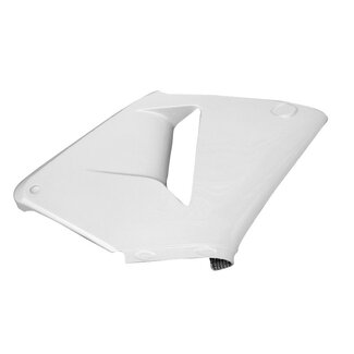 Sebimoto Sebimoto lower right fairing panel Honda CBR 600 RR 03-04