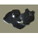Sebimoto Sebimoto Anlasserdeckelabdeckung Kawasaki ZX 6 R 07-08