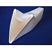 Sebimoto Sebimoto langer Luftkanal Triumph 675 2013