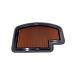 Sprint Filter Sprint Filter P08 Triumph Speed Triple 1200 (21-23)