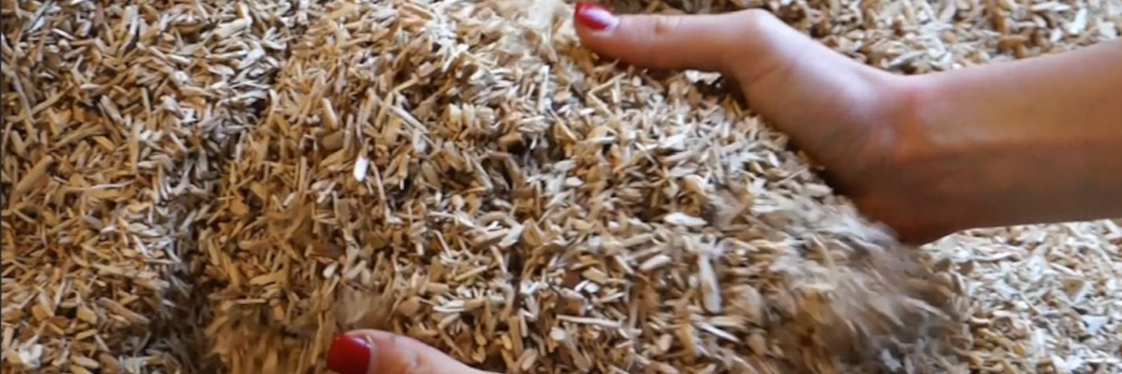 Staubfreie Premium Pferdeeinstreu Ameco