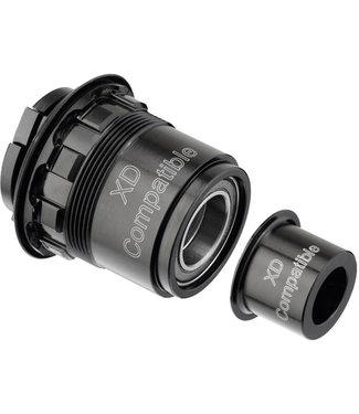 DT Swiss Pawl freehub conversion kit for SRAM XD