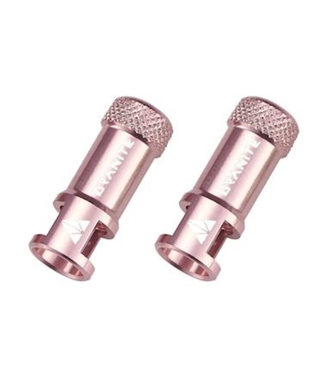 Granite Juicy Nipple Valve Cap & Removal Tool - Pink