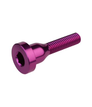 Burgtec Burgtec Top Cap Bolt - Purple Rain