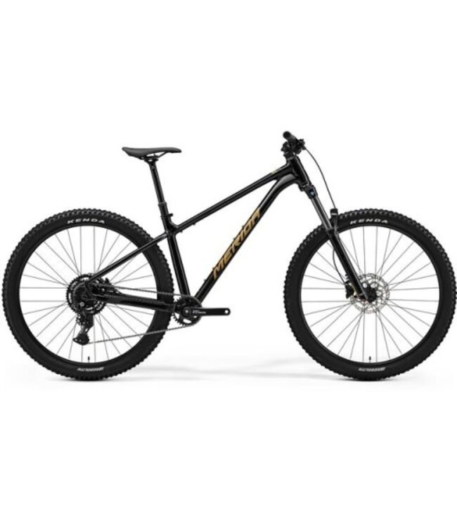 Merida Big trail 300 - black/brown