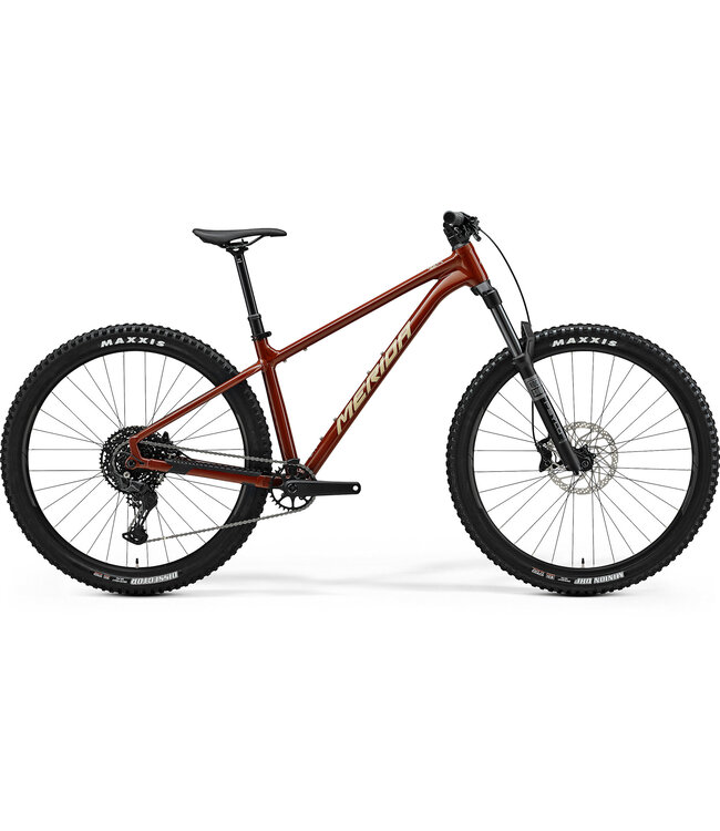 Merida Big Trail 500 - Grey/Black