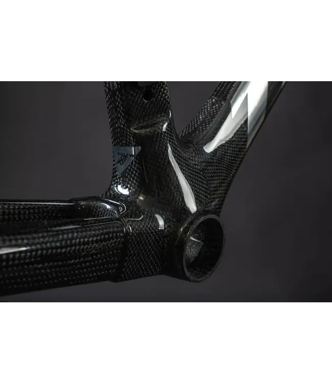 Time Scylon 2025 Frameset - Nude Carbon - Medium