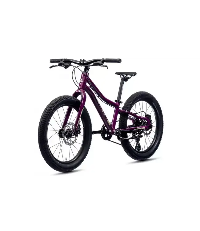 Merida Matts J.20 Plus Purple 20" Kids bike