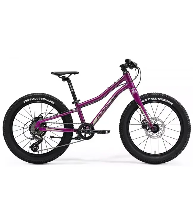 Merida Matts J.20 Plus Purple 20" Kids bike