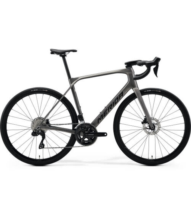 Scultura Endurance 6000 - Warm Slate Grey (Black) - MY26