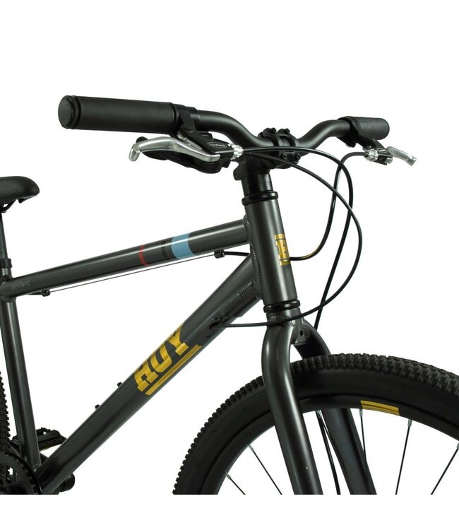 HOY Pentland 26" Kids Bike