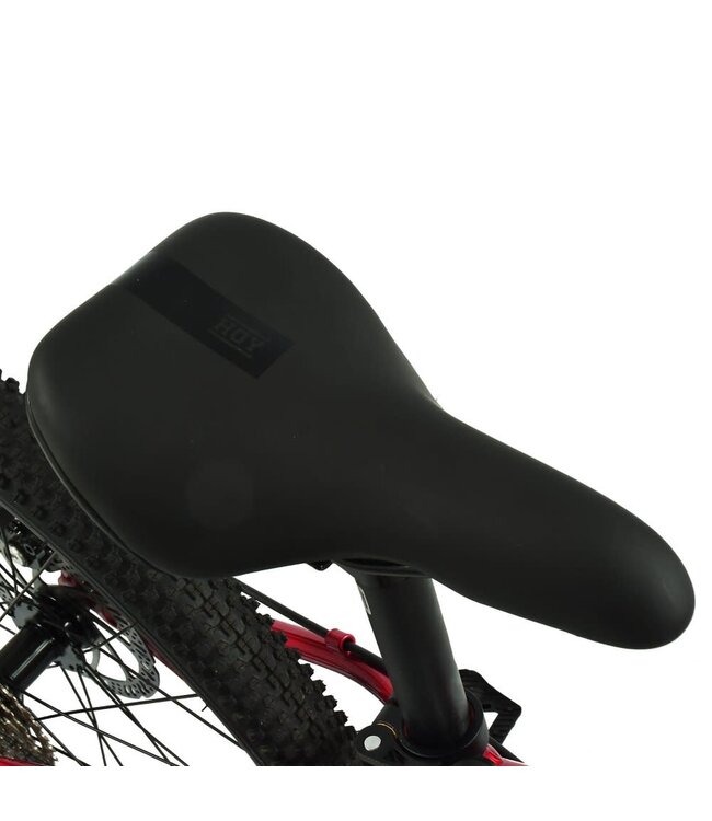 HOY Pentland 24" Kids Bike