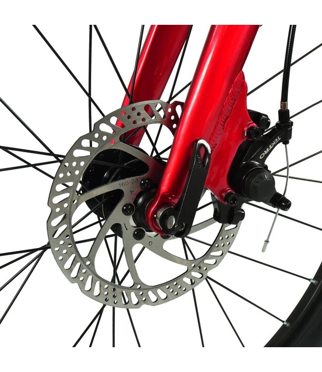 HOY Pentland 24" Kids Bike