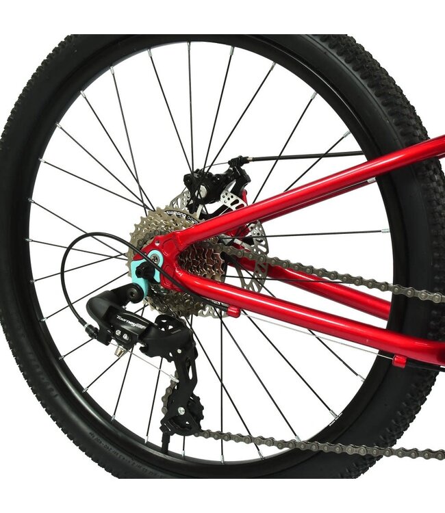 HOY Pentland 24" Kids Bike