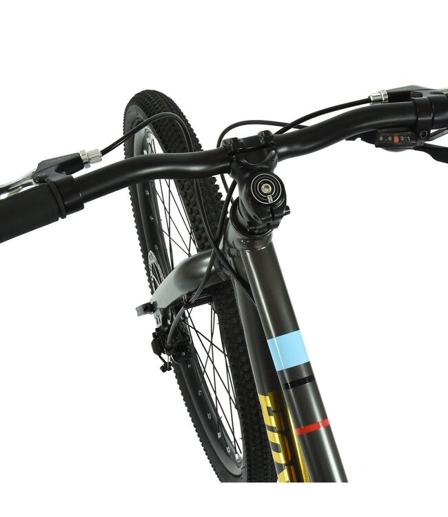 HOY Pentland 24" Kids Bike