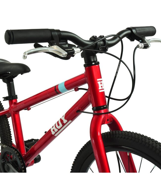 HOY Pentland 20" Kids Bike